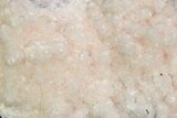 Pink Manganoan Calcite Crystal Cluster - Highly Fluorescent! #350780-2
